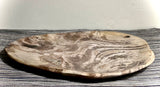 Beautiful Petrified Wood Platter Or Dinner Plate.