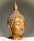 Bronze Head of Buddha. Gilded.  Lanna Style.  Thailand.  11” tall.