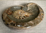 Perfect Ammonite Fossil Bowl