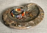Perfect Ammonite Fossil Bowl