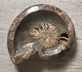 Perfect Ammonite Fossil Bowl