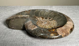 Perfect Ammonite Fossil Bowl