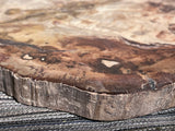 Beautiful Petrified Wood Slab.