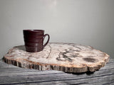 Strange Imports. Fossils. Extra Large slab of petrified wood. great color and detail! Polished both sides. Unique centerpiece for any room. Can be used as a trivet for your table top or would make a great cheese platter. Steven Colby Coffee Mug.