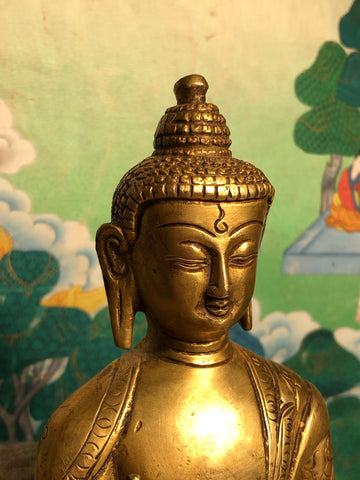 Seated Buddha Vitarka Mudra 8” tall