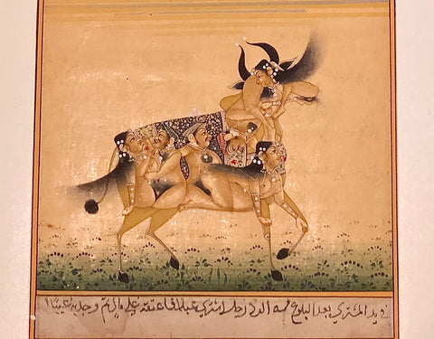 Mughal Miniature painting of a Bull - erotic Free Shipping!